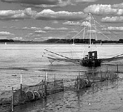 Jahreswettbewerb 2004: Maritime Landschaften 5