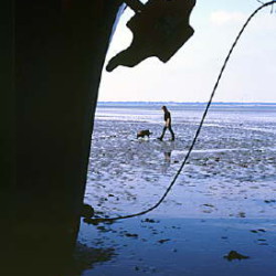 Jahreswettbewerb 2004: Maritime Landschaften 6