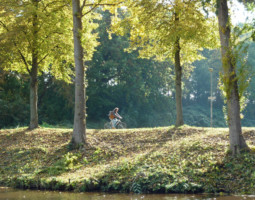 Hans Losse 13