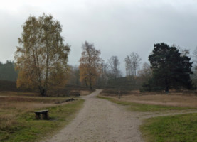 Hans Losse 9
