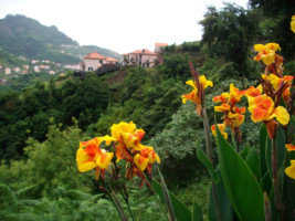 Günther Sehlmann 12