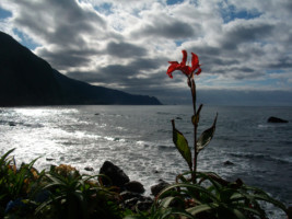 Günther Sehlmann 11