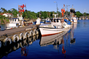 Fotoausstellung "Ögonblick" in unserer schwedischen Partnerstadt Karlshamn 97