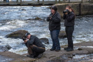 Fotoausstellung "Ögonblick" in unserer schwedischen Partnerstadt Karlshamn 53