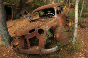 Fotoausstellung "Ögonblick" in unserer schwedischen Partnerstadt Karlshamn 59