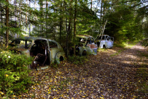 Fotoausstellung "Ögonblick" in unserer schwedischen Partnerstadt Karlshamn 57