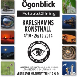 Fotoausstellung "Ögonblick" in unserer schwedischen Partnerstadt Karlshamn