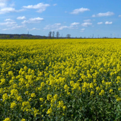 Foto-Radtour an die Elbe 5