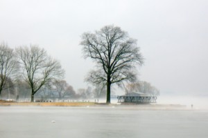 Nebelstimmungen 26