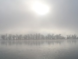 Nebelstimmungen 35