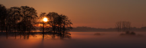 Nebelstimmungen 5