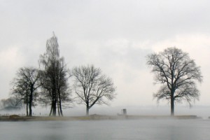 Nebelstimmungen 6