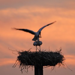 Das war 2016 - Lieblingsfotos unserer Mitglieder 24