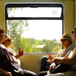 Das war 2016 - Lieblingsfotos unserer Mitglieder 31