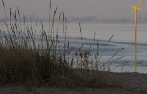 Das war 2016 - Lieblingsfotos unserer Mitglieder 3