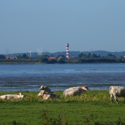 Jahreswettbewerb 2016: Die Elbe 14