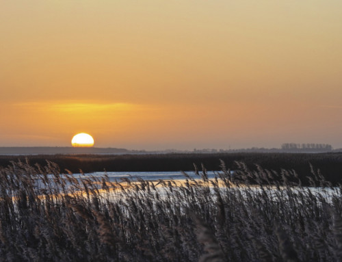 Lieblingsfotos 2019 – 2020